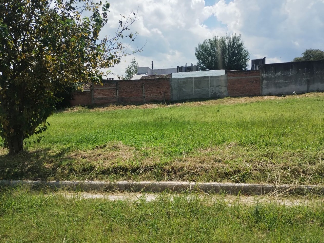 Venta  Terreno en Villa Carmela 