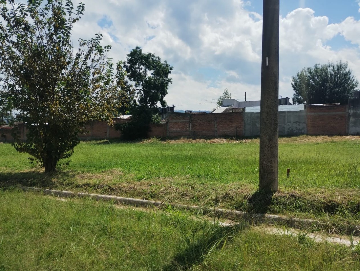 Venta  Terreno en Villa Carmela 